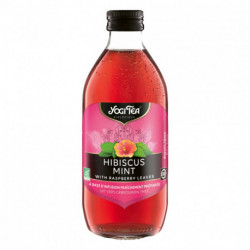 INFUSION GLACEE HIBISCUS MENTH