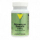 BOSWELLIA SERRATA 230MG