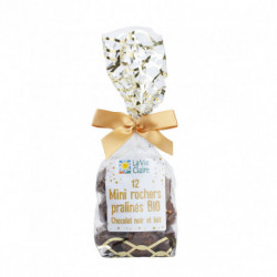 MINI ROCHERS CHOCO NOIR LAIT