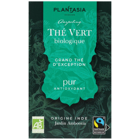 PLANTASIA THE VERT PUR