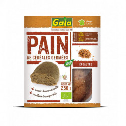 PAIN ESSENE EPEAUTRE 250G