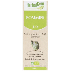 POMMIER 50 ML