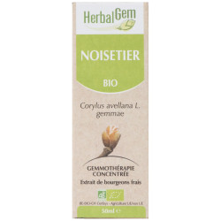 NOISETIER 50ML