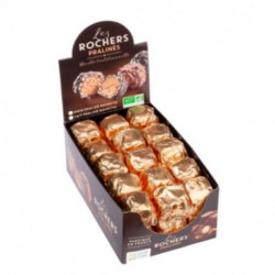 Rochers praline lait 30g