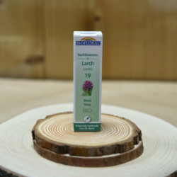 FDB 19 LARCH 20ML