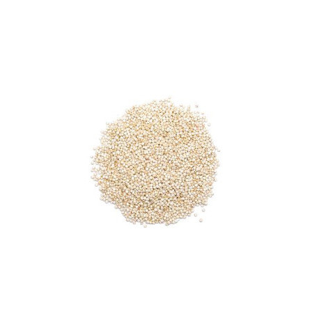 QUINOA BLANC DES ANDES 100g