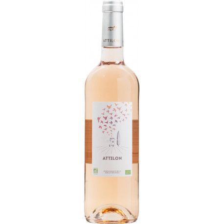 IGP MEDITERRANEE ROSE ALLUSION