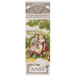 ETUI 18G ANIS BIO