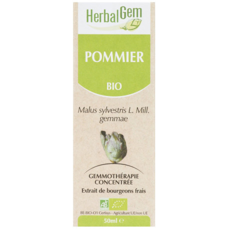 POMMIER 50 ML