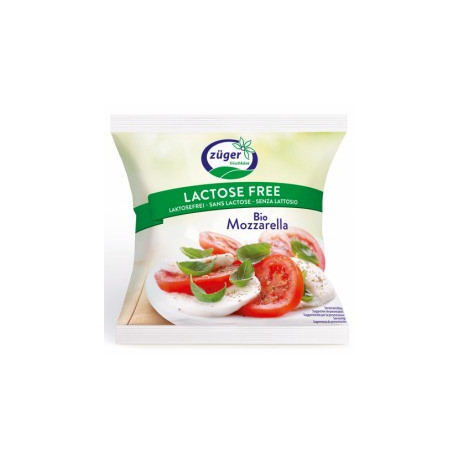 MOZZARELLA BIO S/LACTOSE 100 G