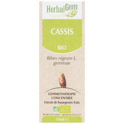 CASSIS 15ML