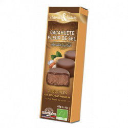 BOUCHEES CACAHUE SEL CHOC LAIT