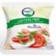 MOZZARELLA BIO S/LACTOSE 100 G