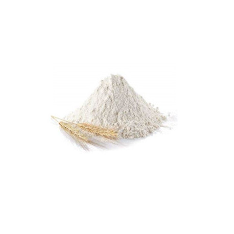 FARINE DE BLE T110 100g