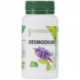 DESMODIUM