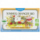 SOMMEIL ORANGER INFUSETTES X20